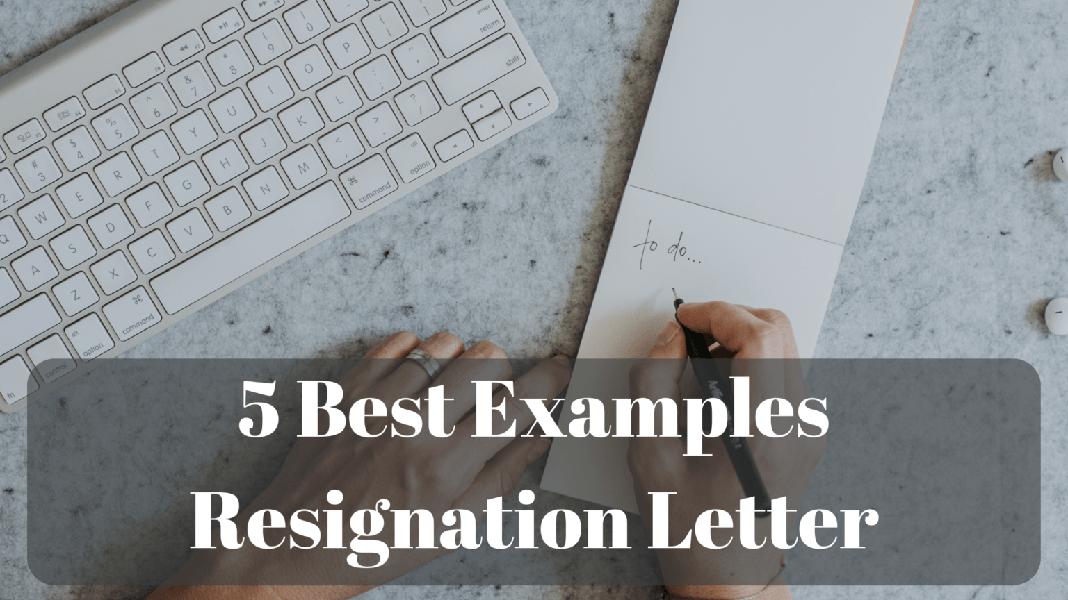 5 Best Sample Regisnation Letter You Can Refer