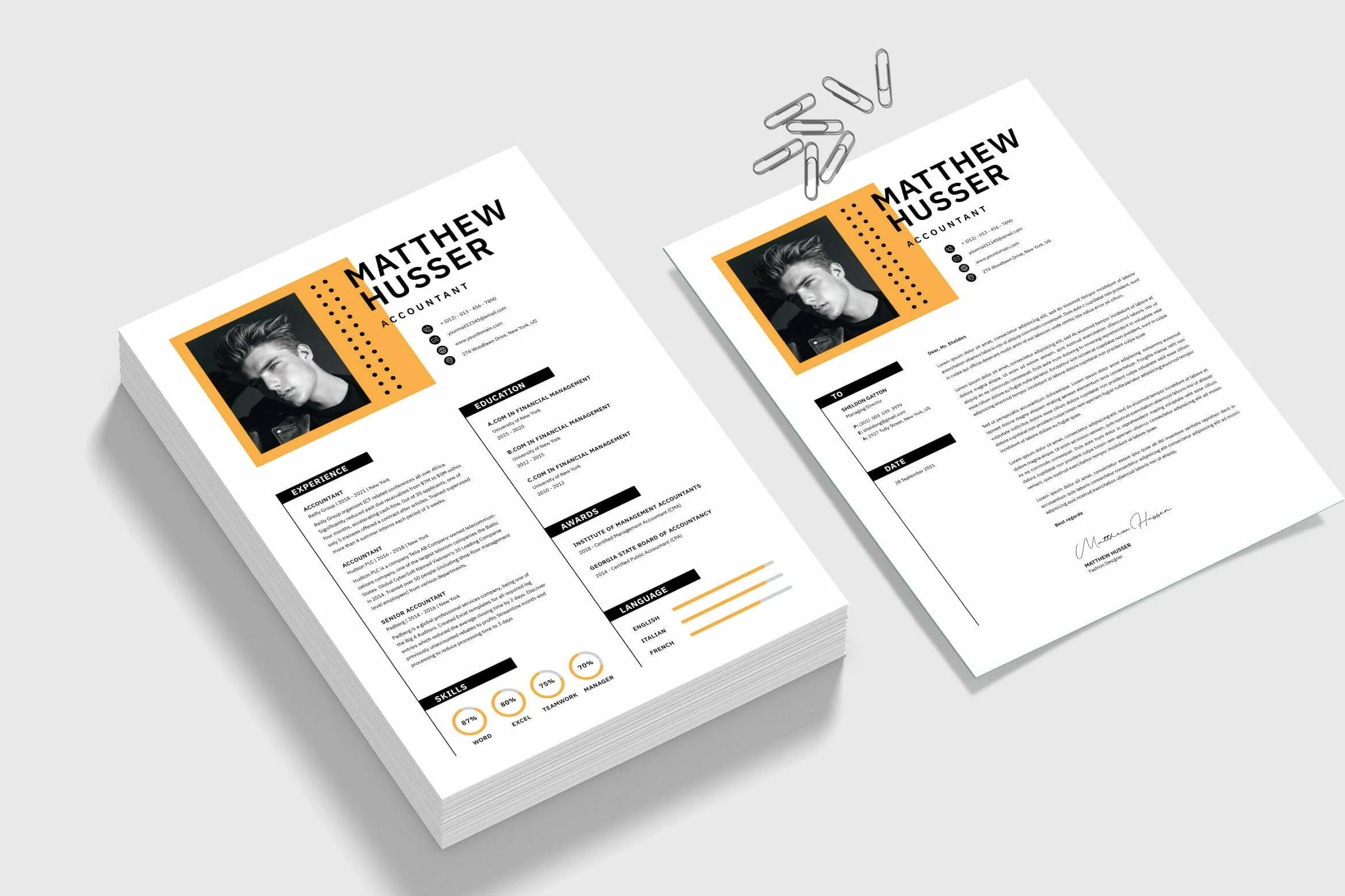 CV for Accountant