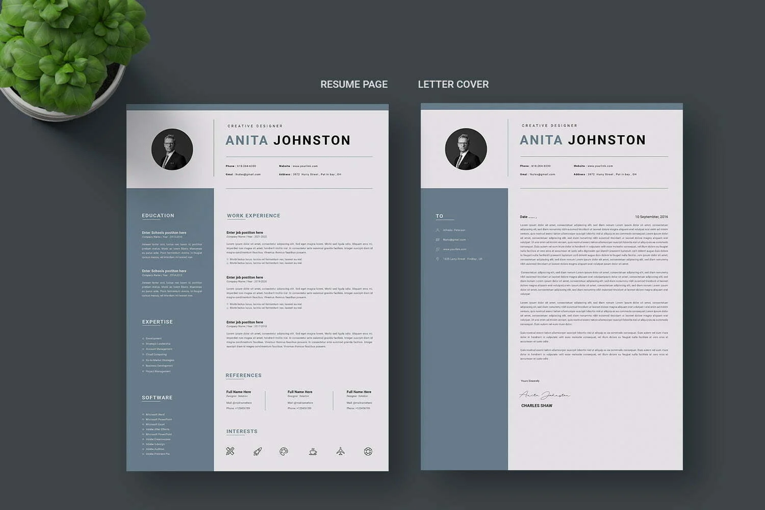 Accounting Internship Resume CV and Cover Letter