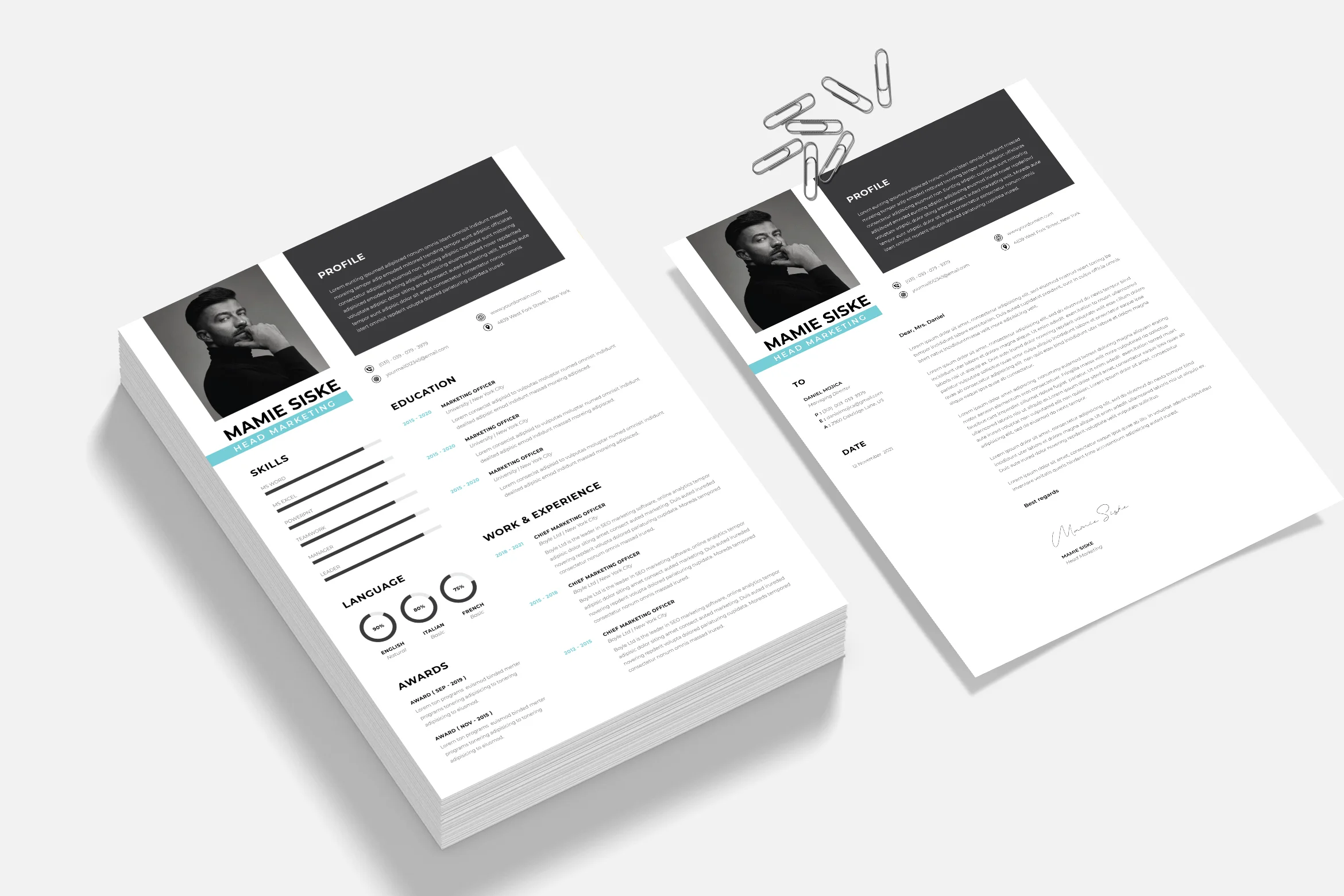 Finance Manager CV templates