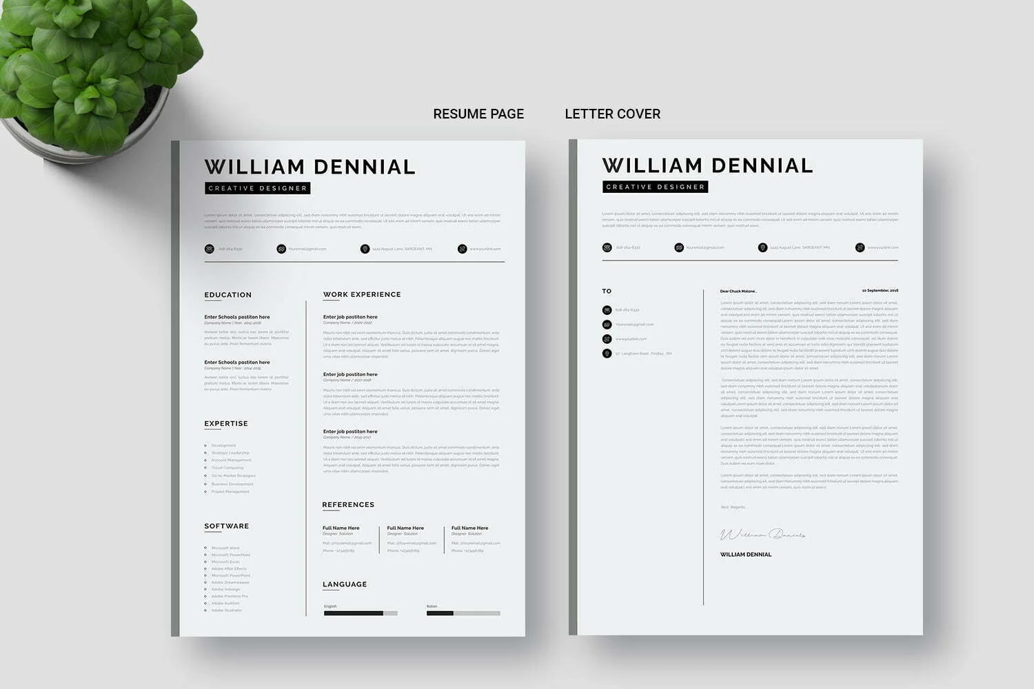Insurance Agent Resume