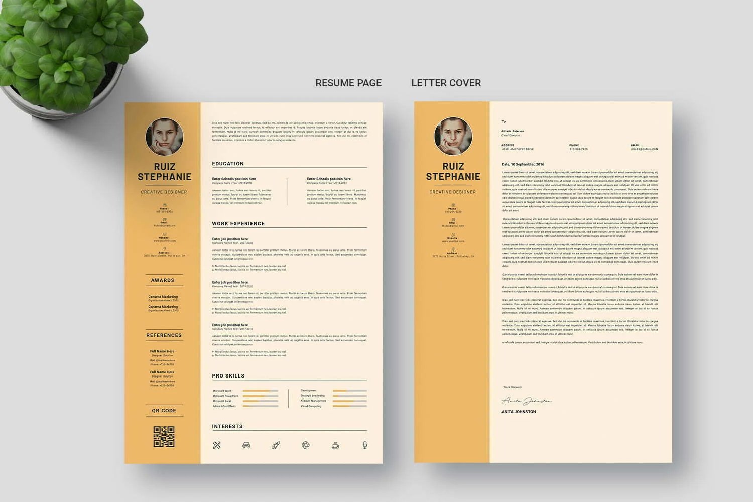 CV for Chief Financial Officer