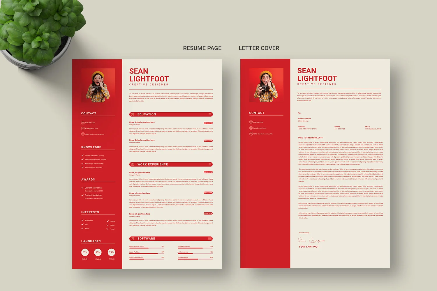 creative-designer