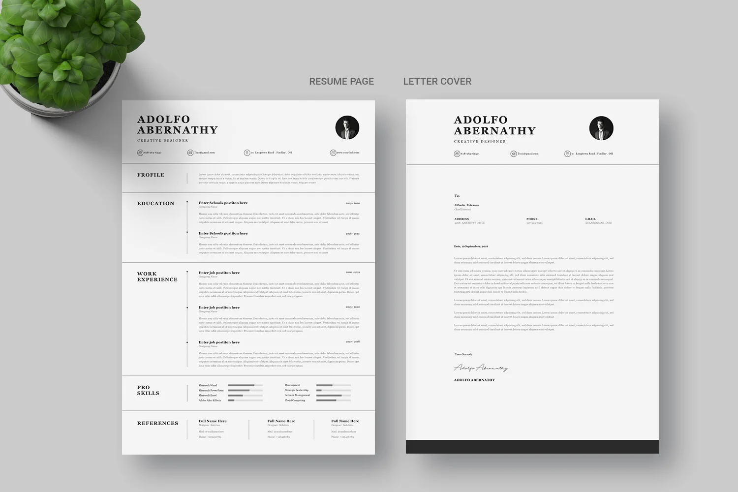 Teacher-Biodata